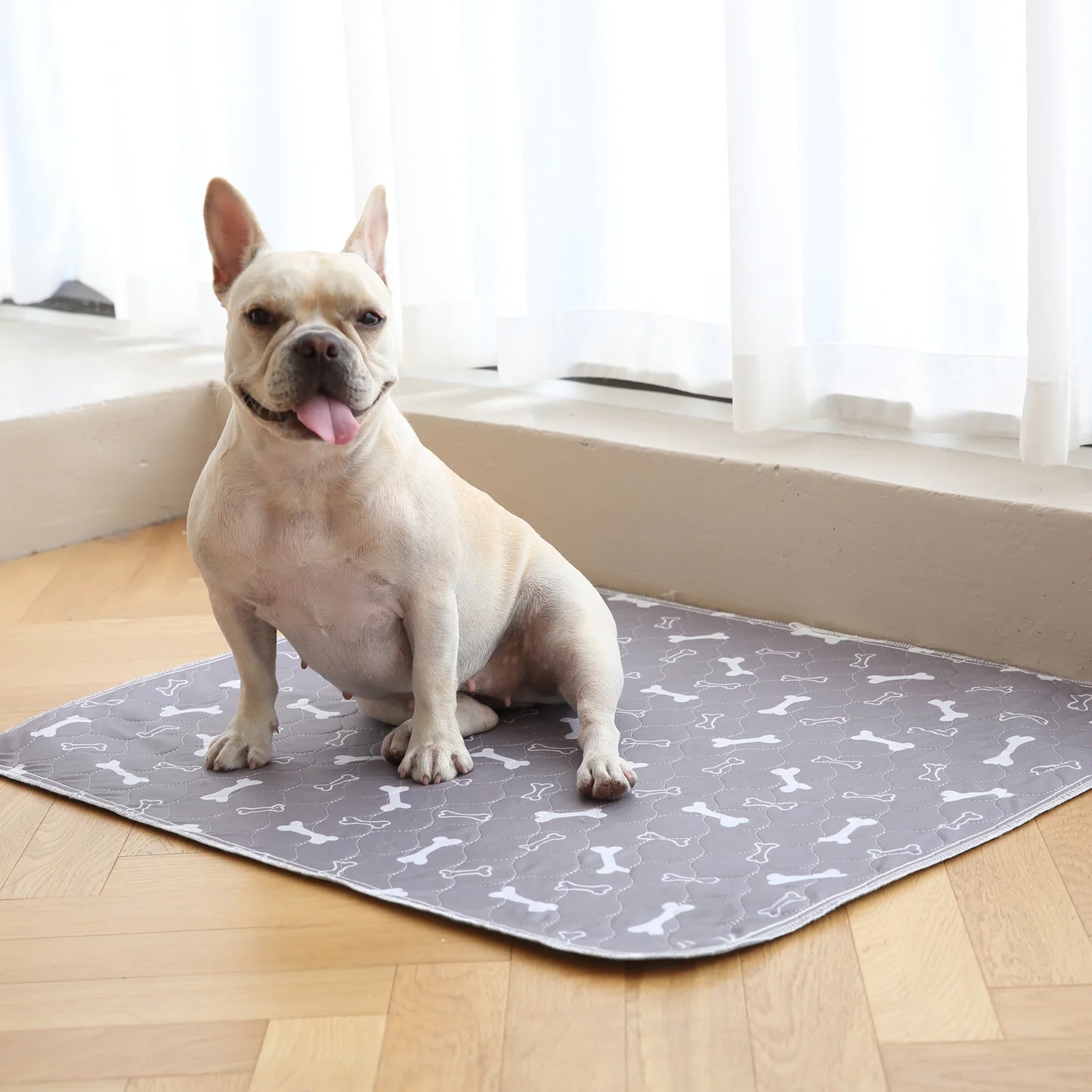 PuppyPad - The Last Pee Pad You'll Get